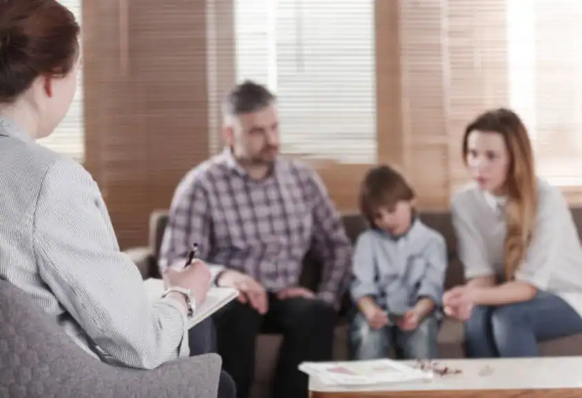 Child Custody and Relocation in International Family Disputes Aldershot